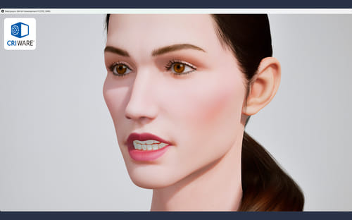 細かい子音に対応